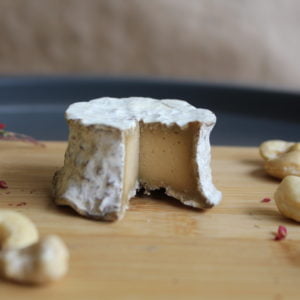 Stella Bianca di Soia