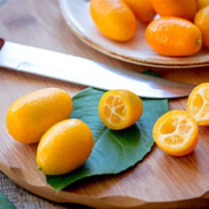 KUMQUATT (MANDARINO CINESE) diverse varieta’- da Novembre-Dicembre ad Aprile-Maggio -
