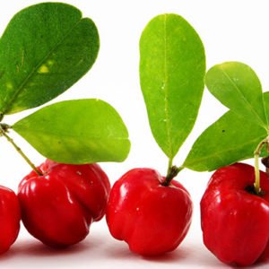 Acerola - da Maggio a Dicembre con pause -