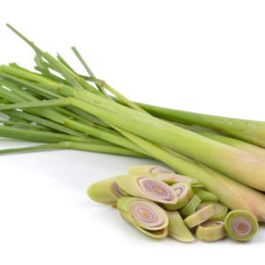 Lemon Grass o Citronella - Steli - Tutto l'anno