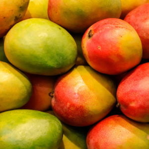 MANGO di Sicilia (Special) tipo Glenn, Maya, Keitt - da metà Agosto a Dicembre -